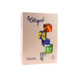 Carton color 160 g/mp A4 sepia Favini 103